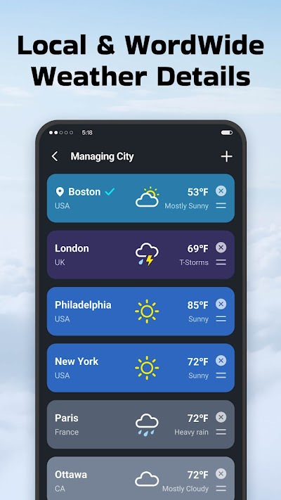 Local Weather: Live Forecast