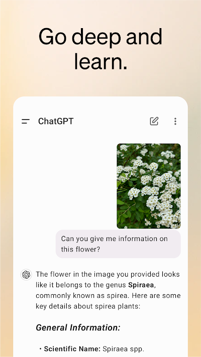 ChatGPT